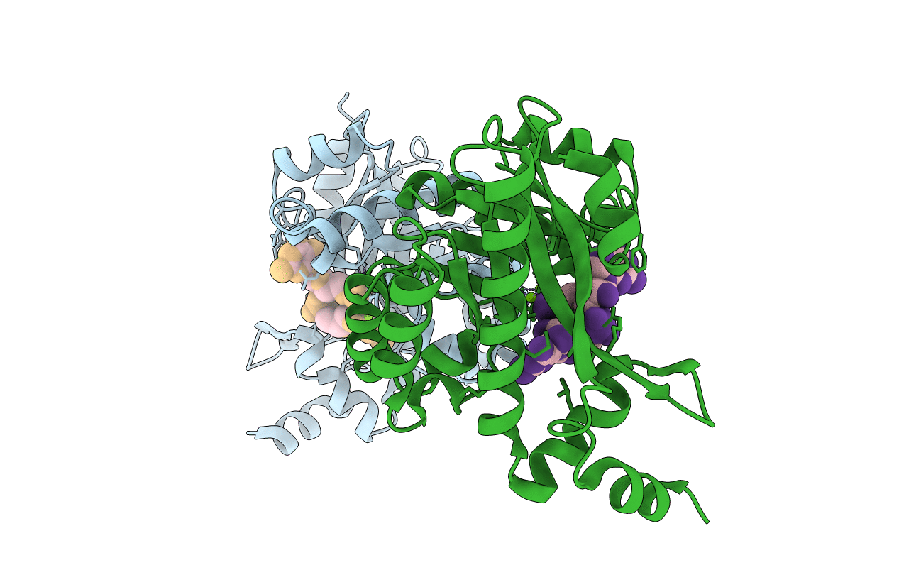 3U2E image