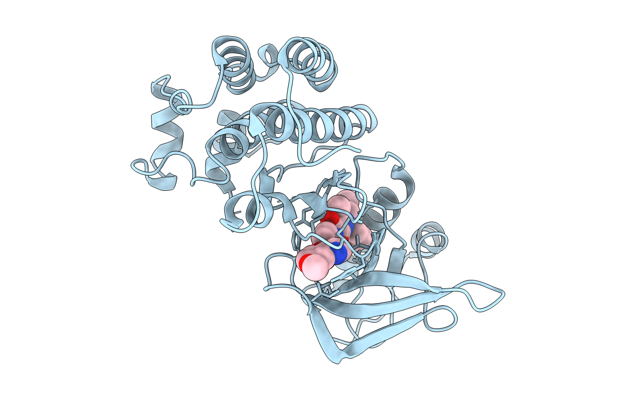 3U6I image