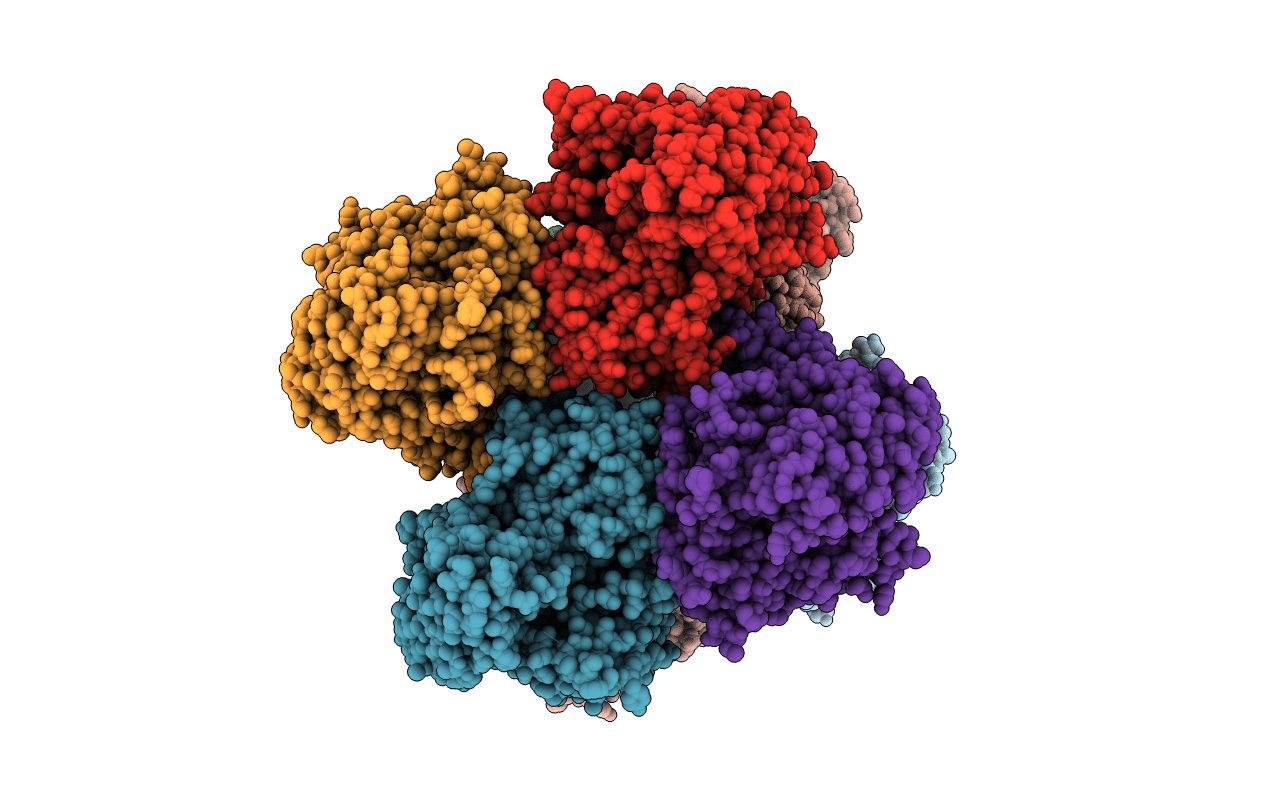 3U6N image