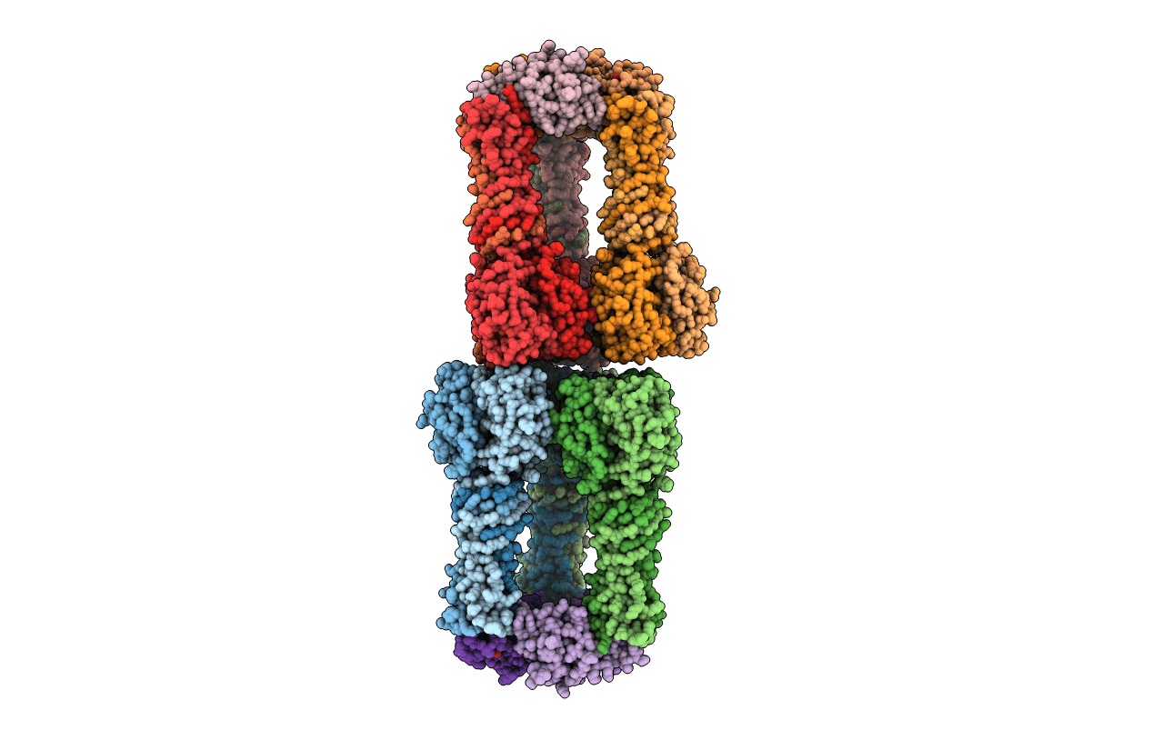 3U6X image