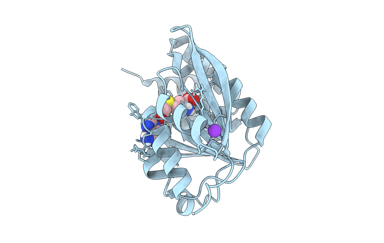 3U81 image