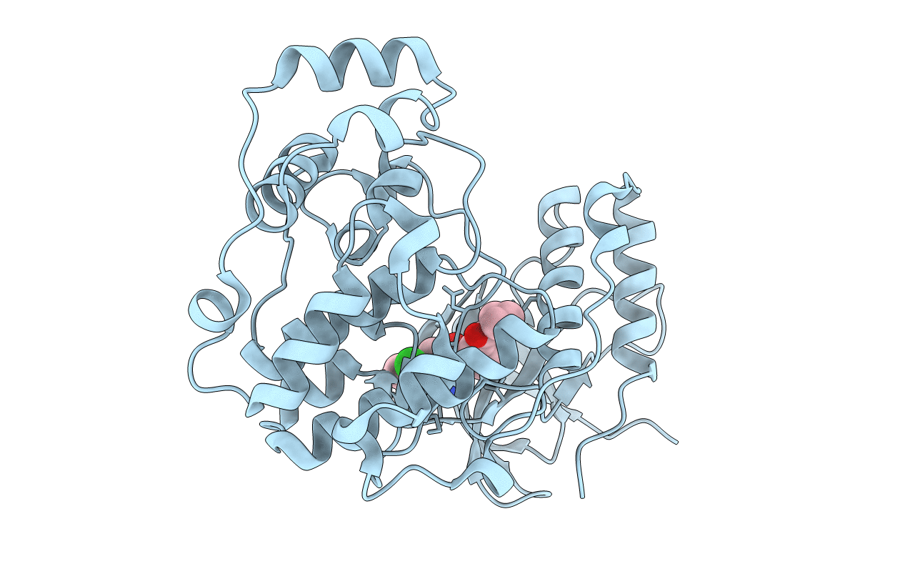 3U8W image