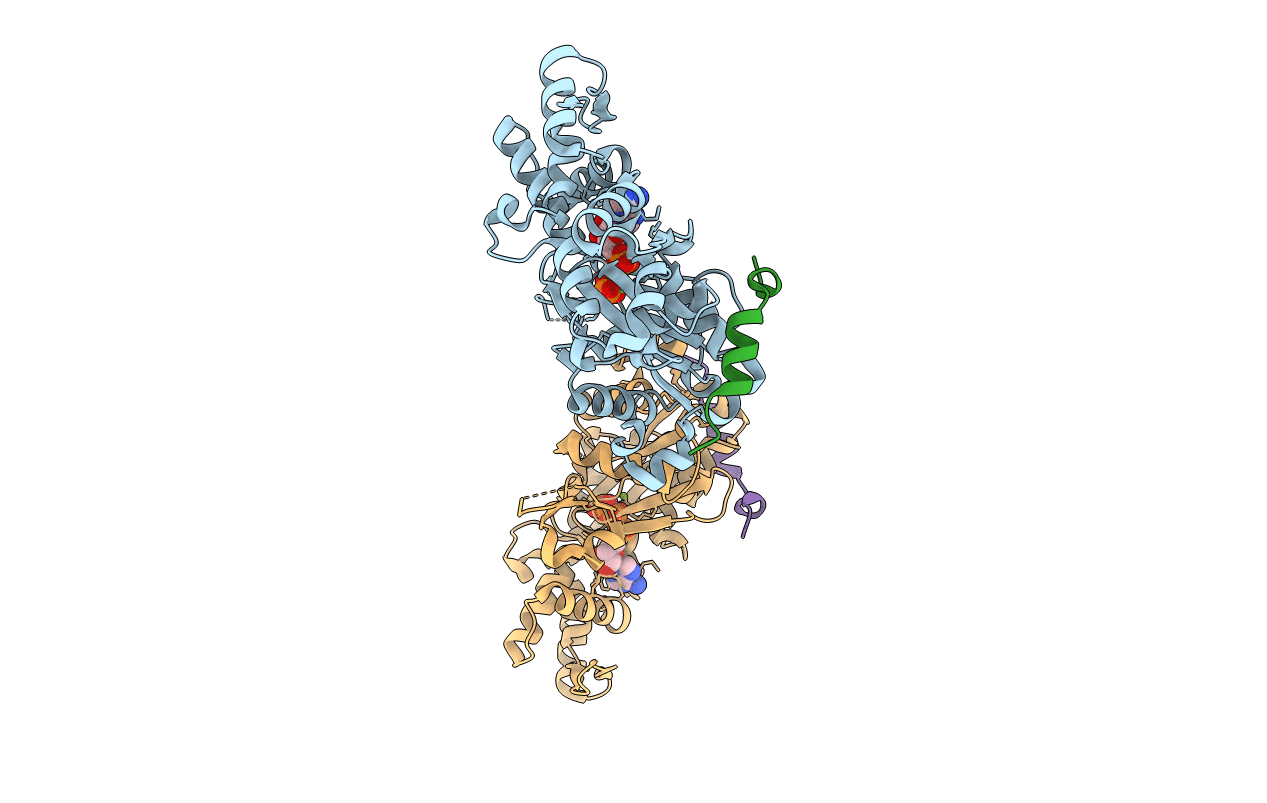 3U8X image