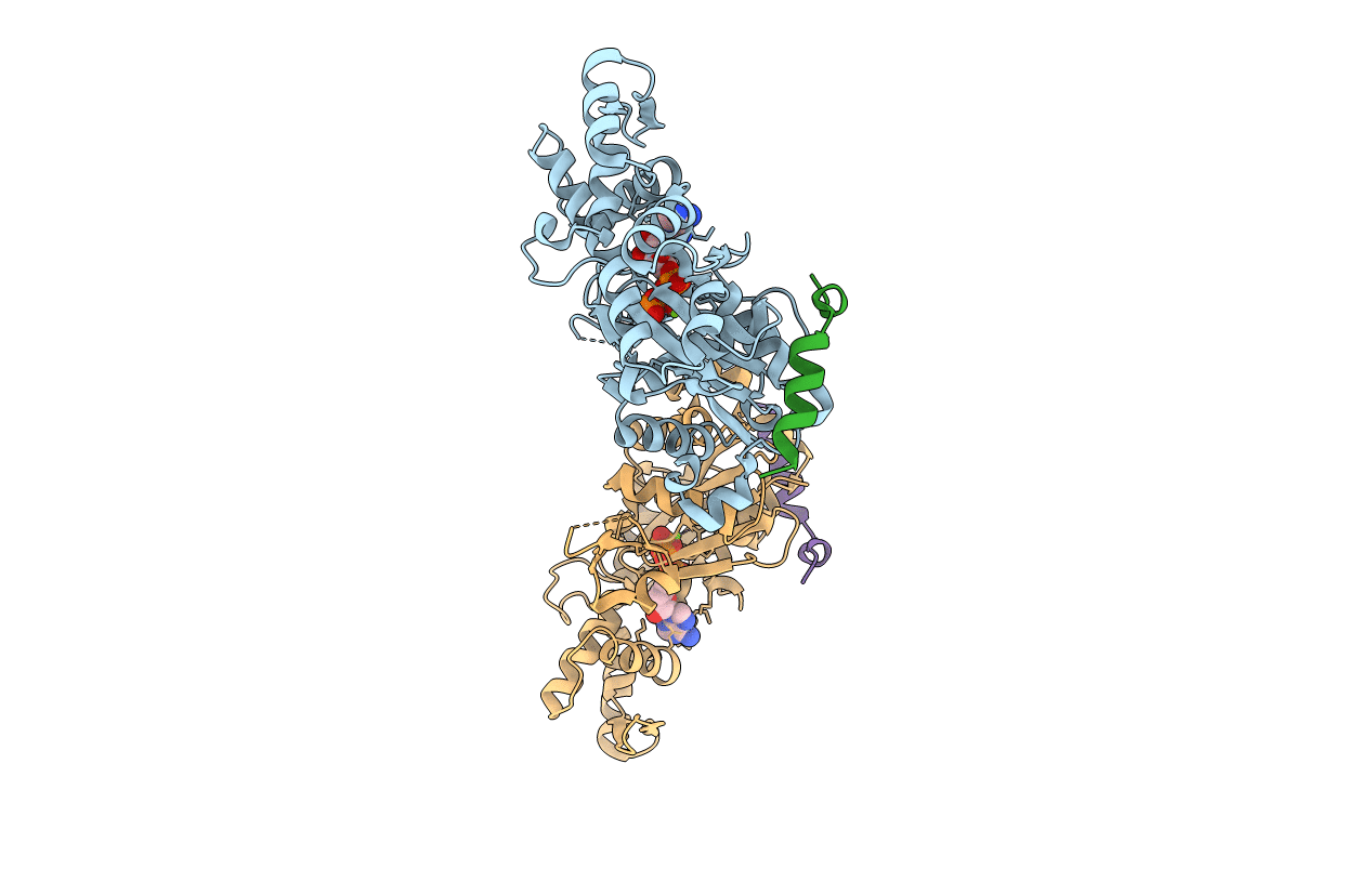 3U9D image