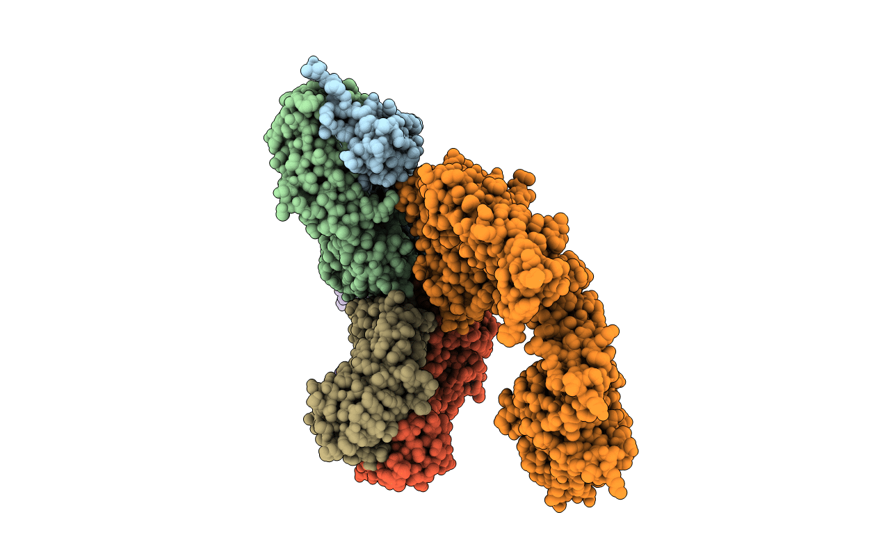 3U9U image