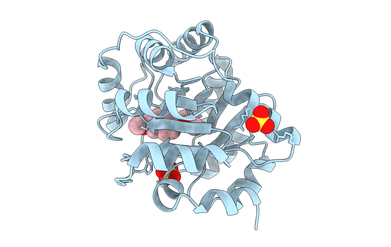 3UD6 image