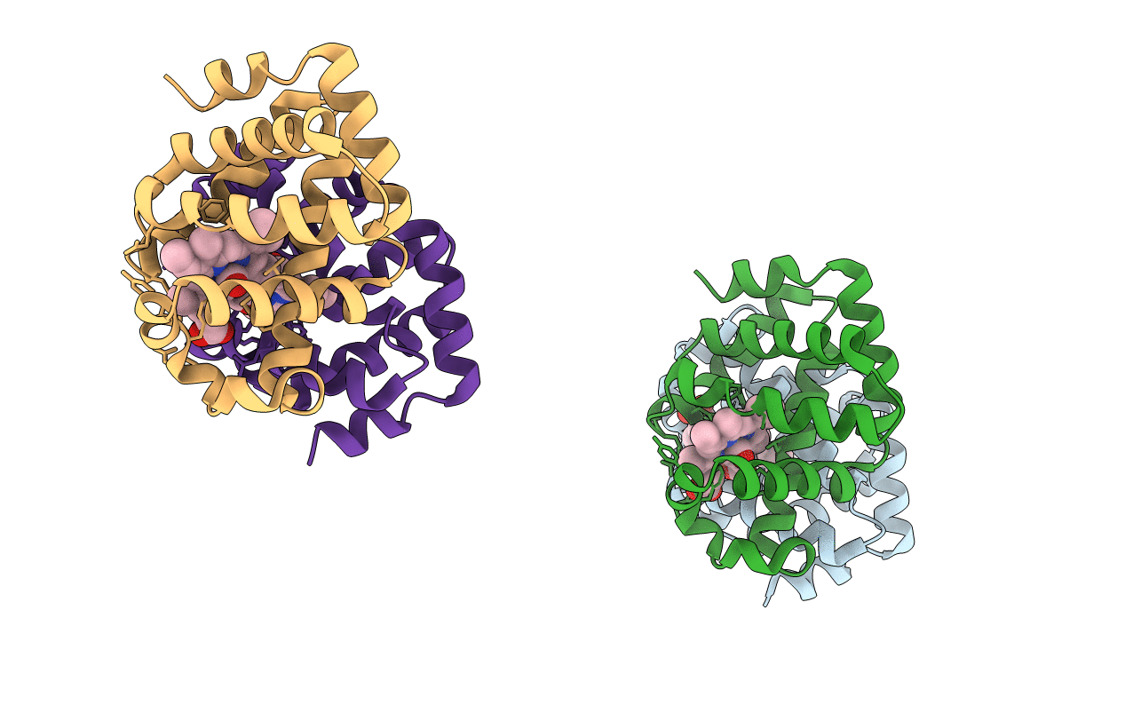 3UHI image