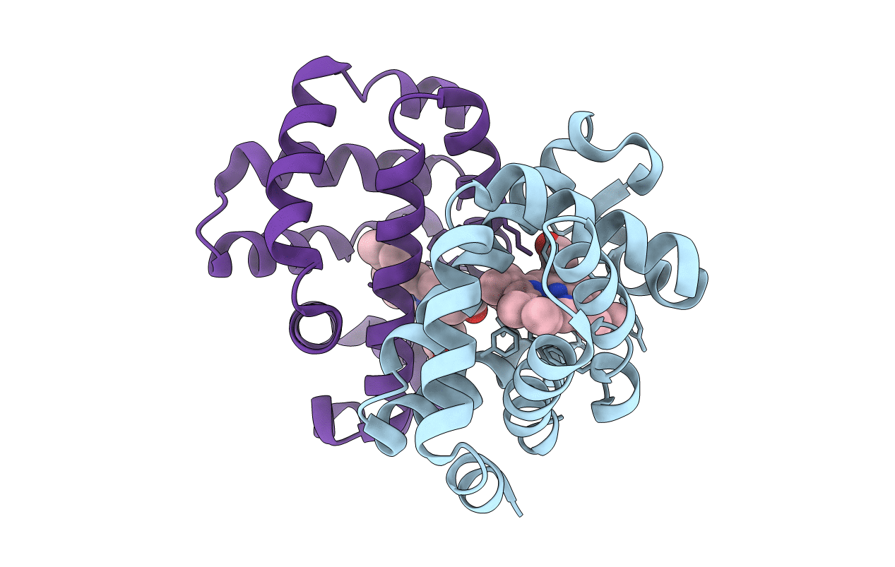 3UHS image