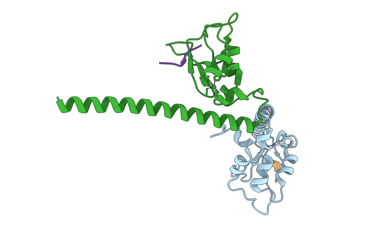 3UIG image