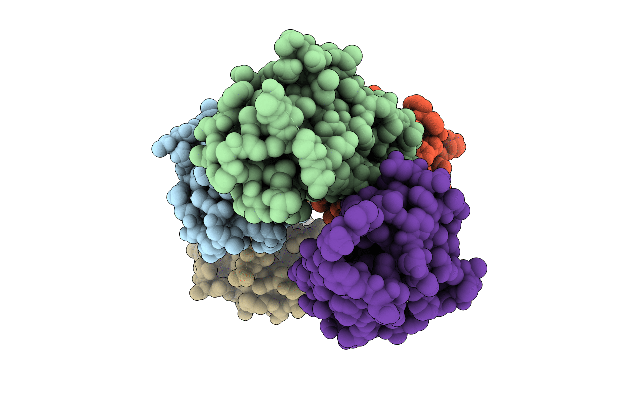 3UIZ image