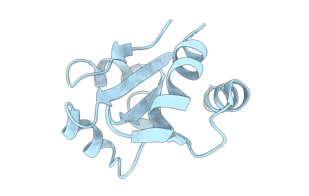 3UJ1 image