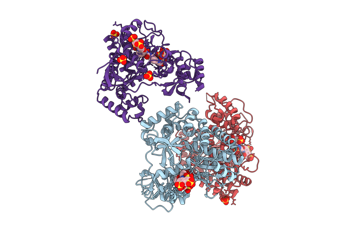 3UPF image