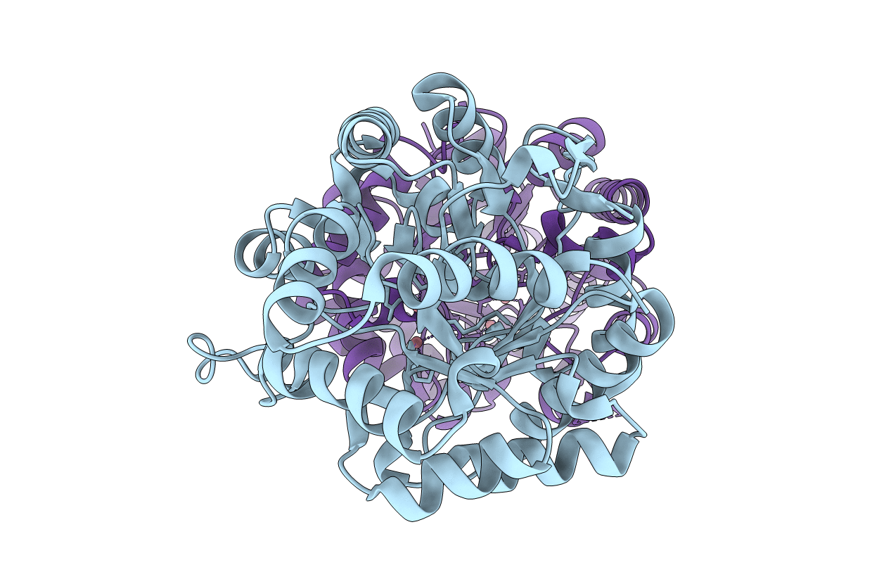3UPM image