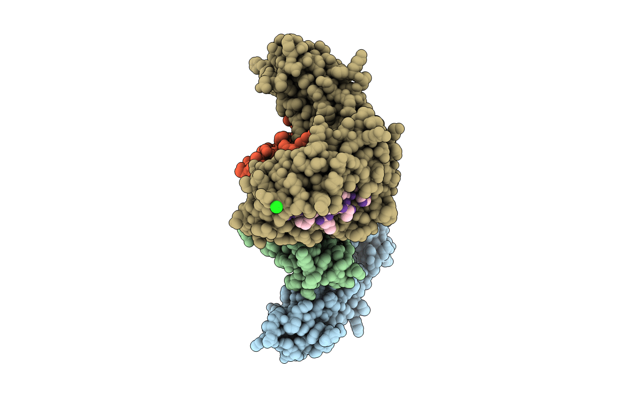 3UPR image