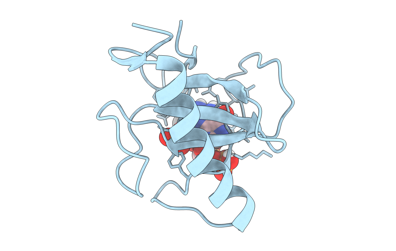 3URP image