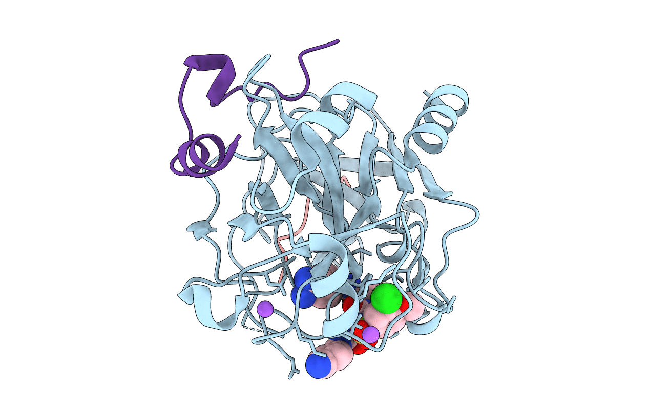 3UTU image