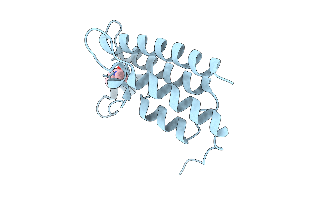 3UVD image