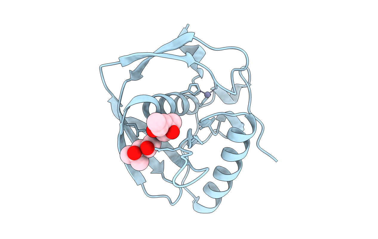 3UWA image