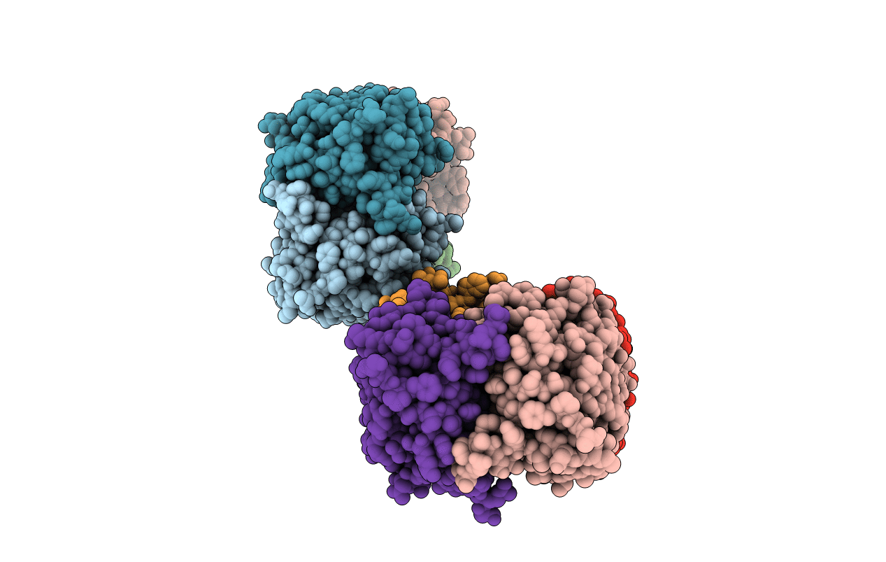 3V6M image