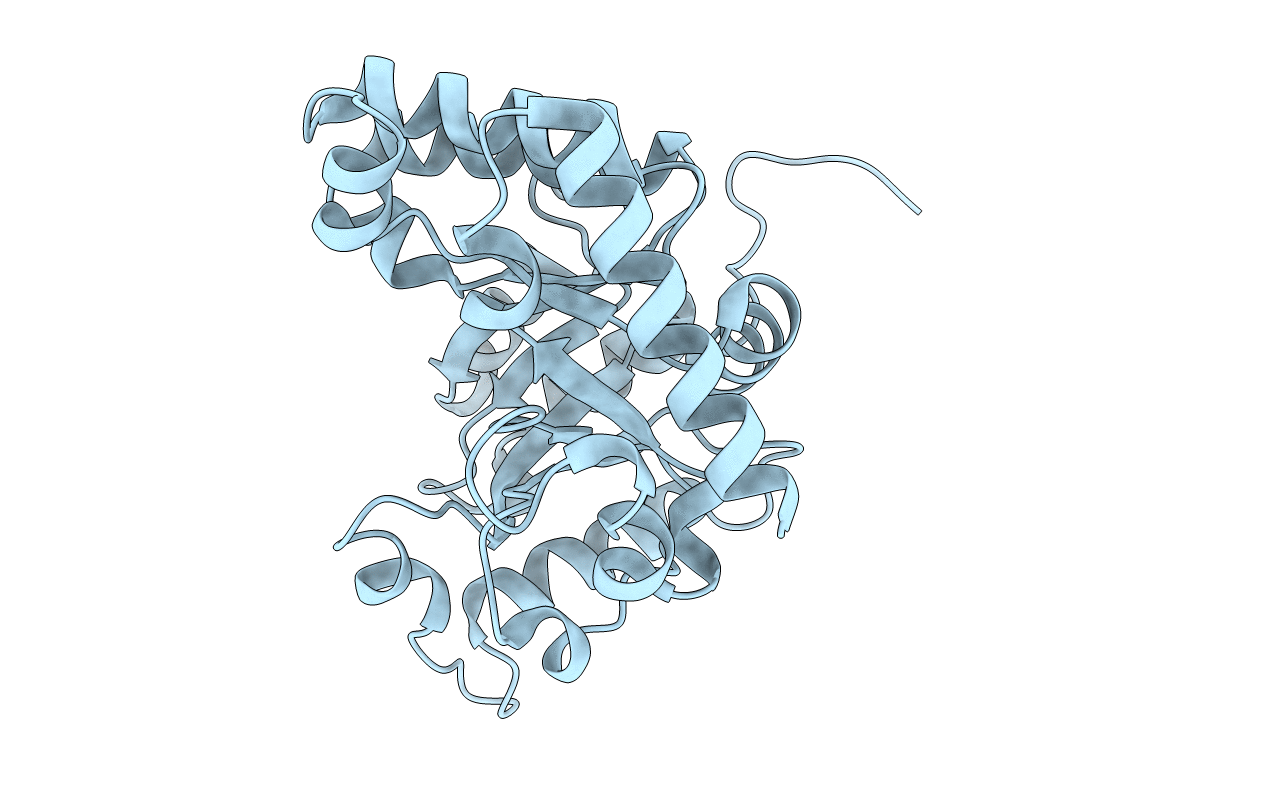 3V75 image