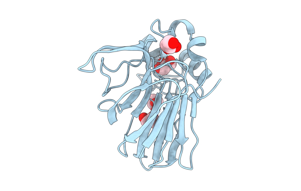 3V8A image