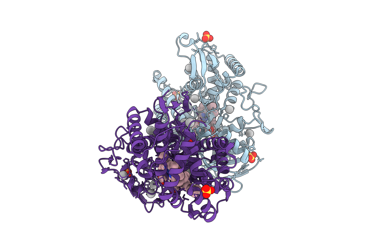 3V8D image