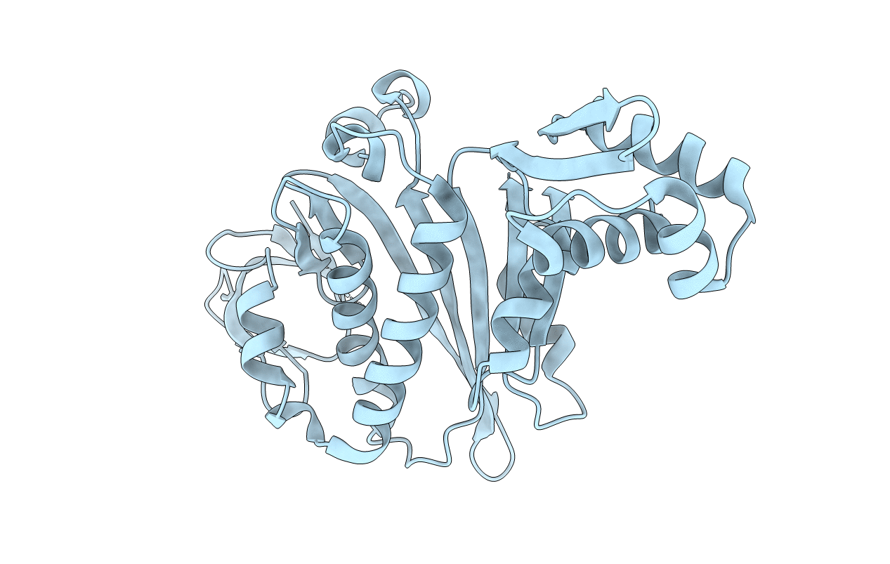 3V8J image