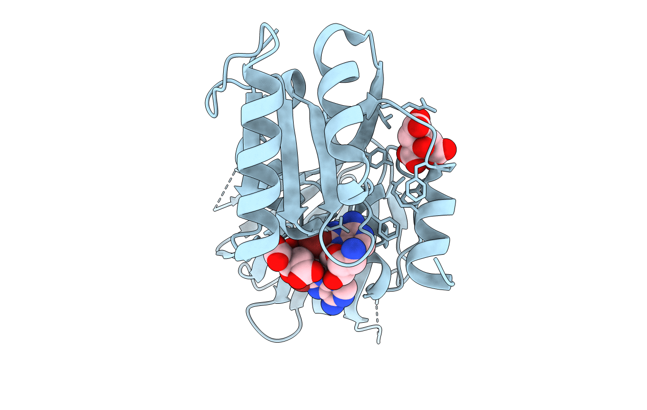 3V8N image