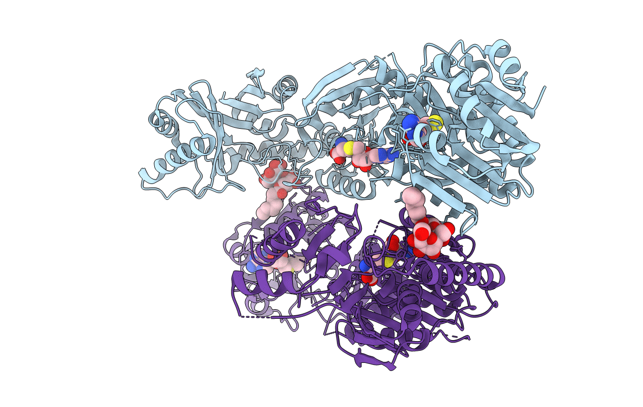 3V8V image