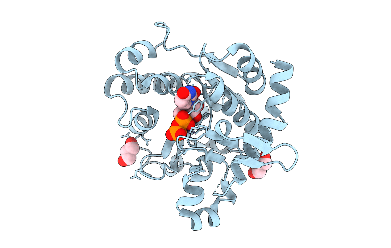 3V8Z image