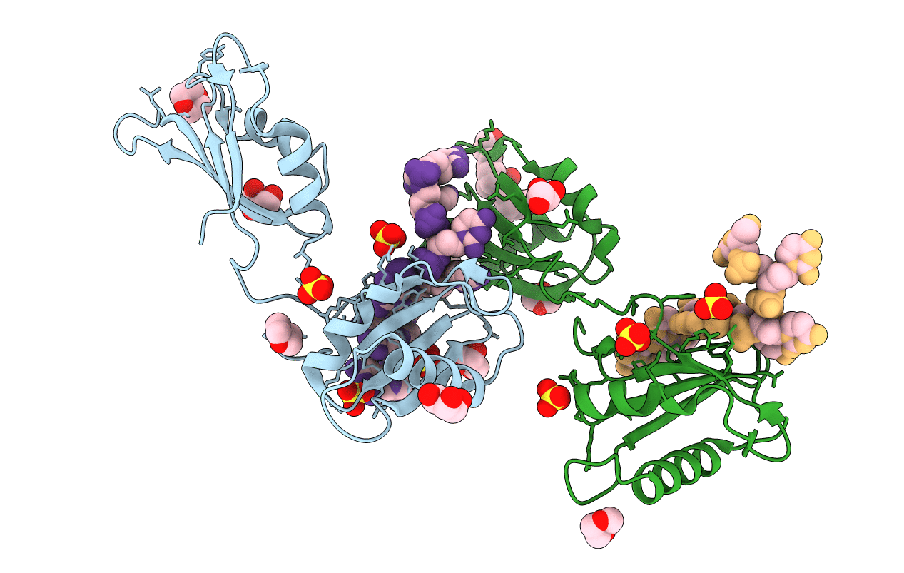 3VAK image
