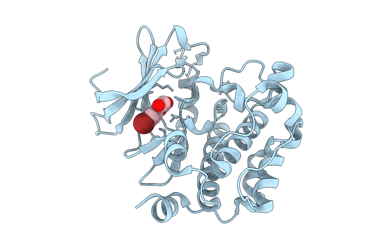 3VBX image