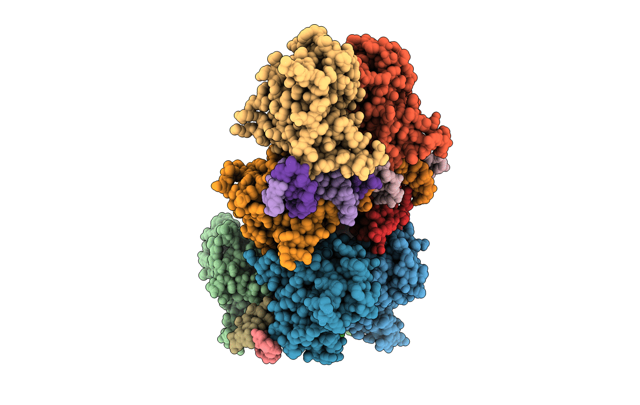 3VD1 image