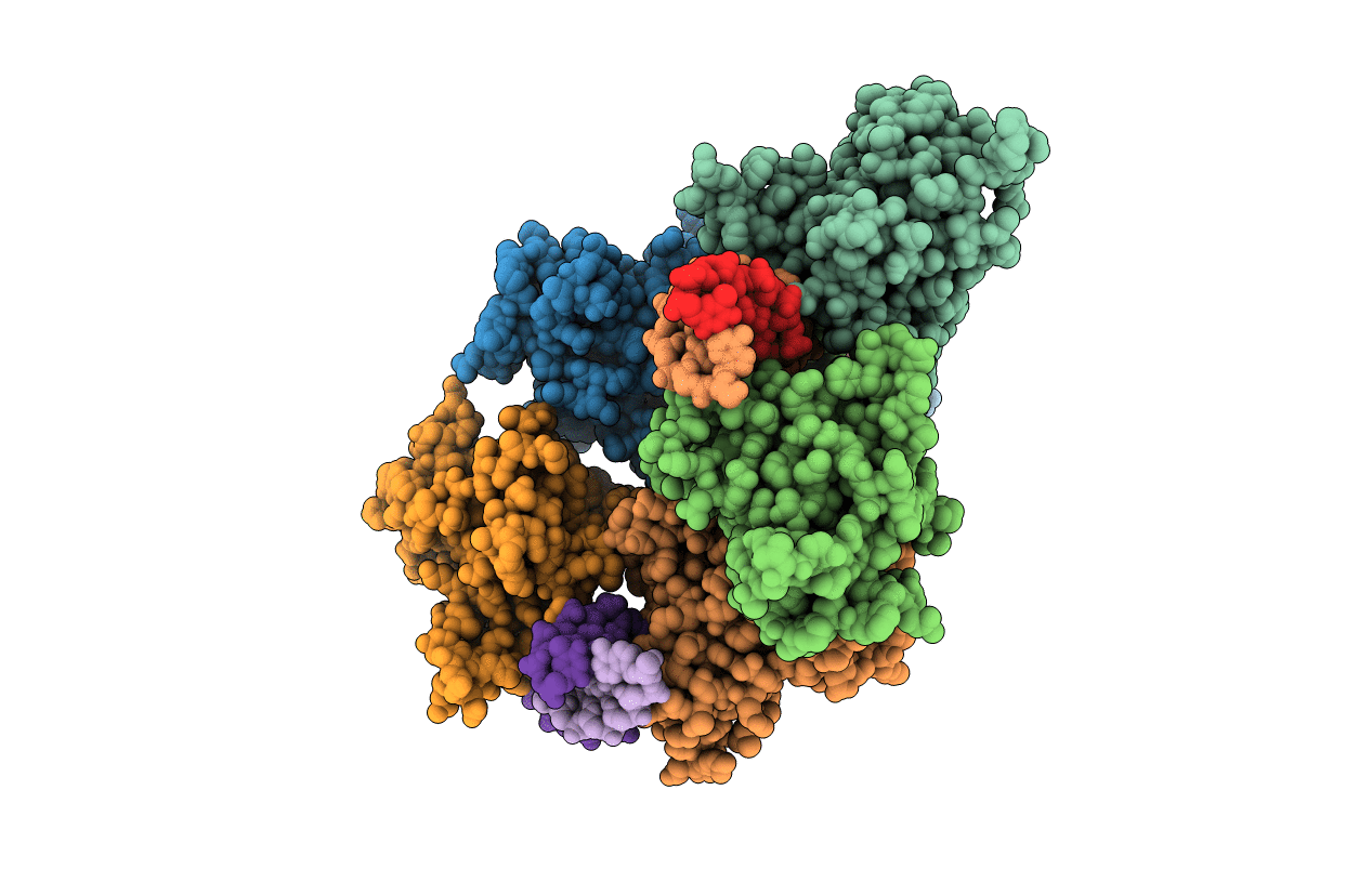 3VD2 image