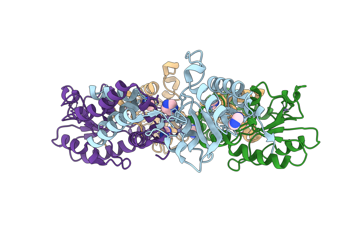 3VDP image