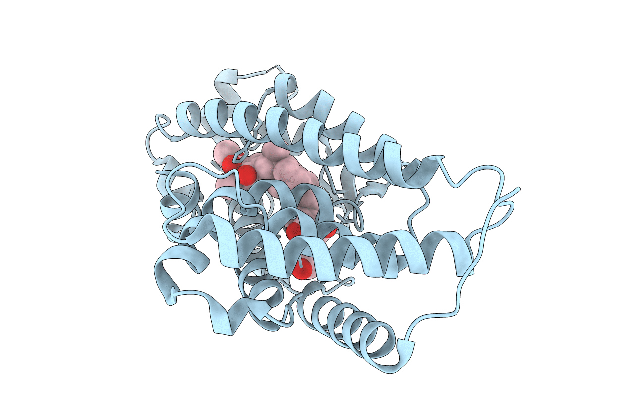 3VHW image