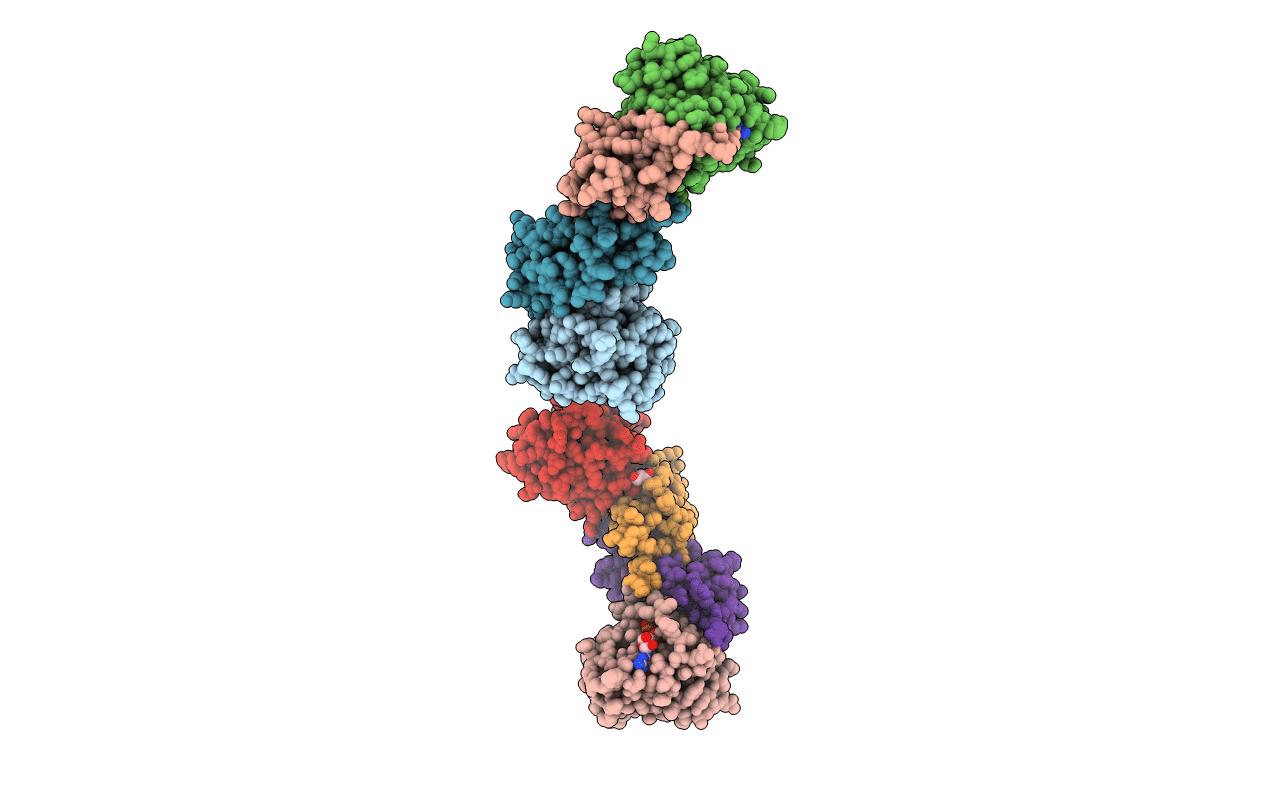 3VHX image