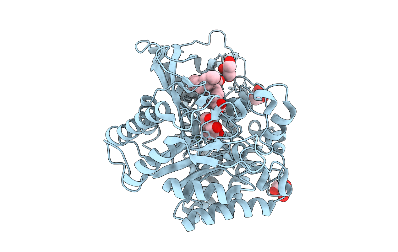 3VKK image