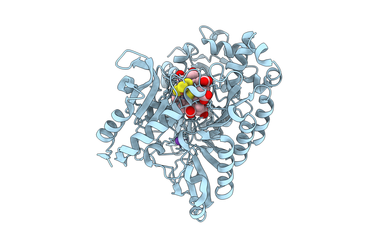 3VKP image