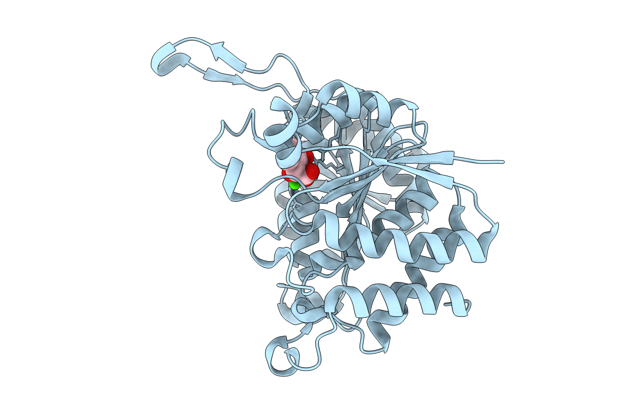 3VL2 image