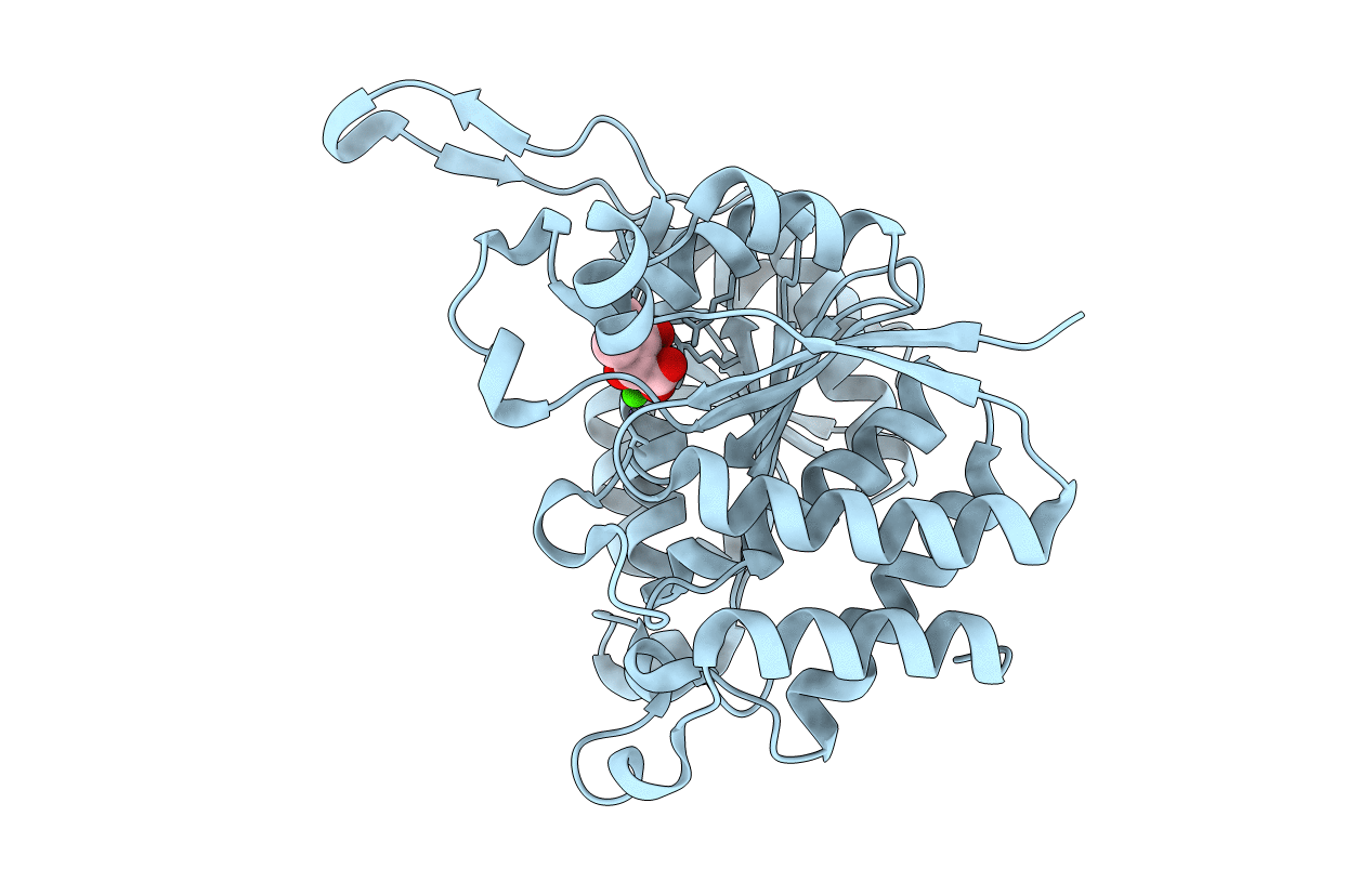 3VL7 image