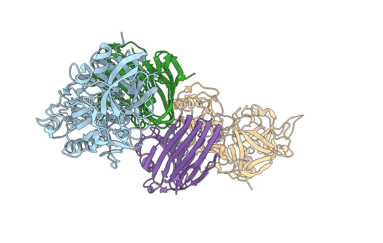 3VLB image