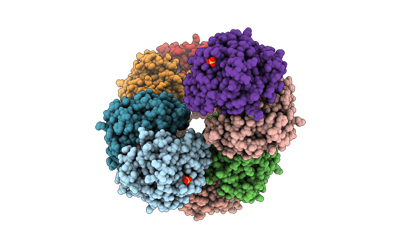 3VND image