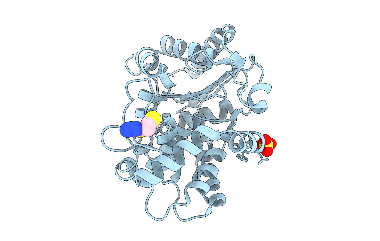 3VP2 image