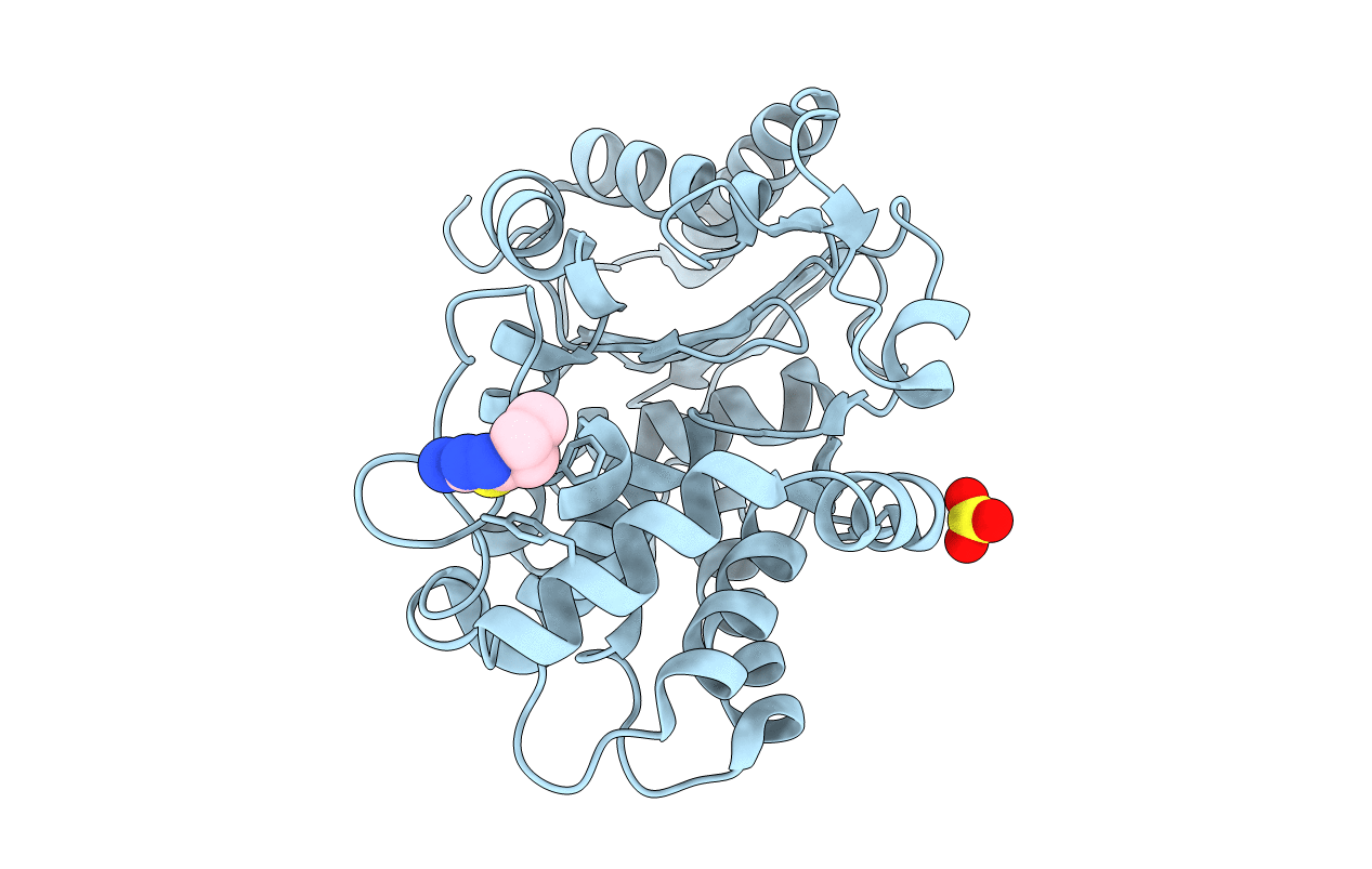3VP3 image