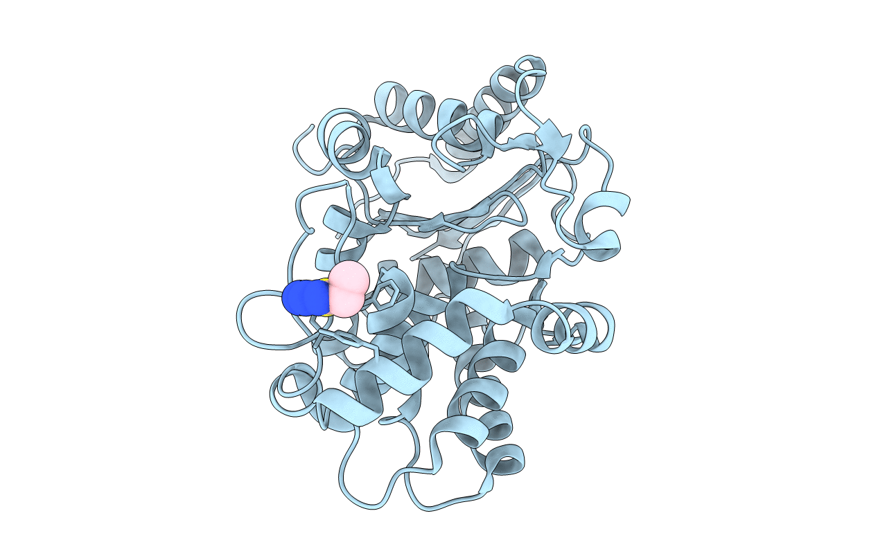 3VP4 image