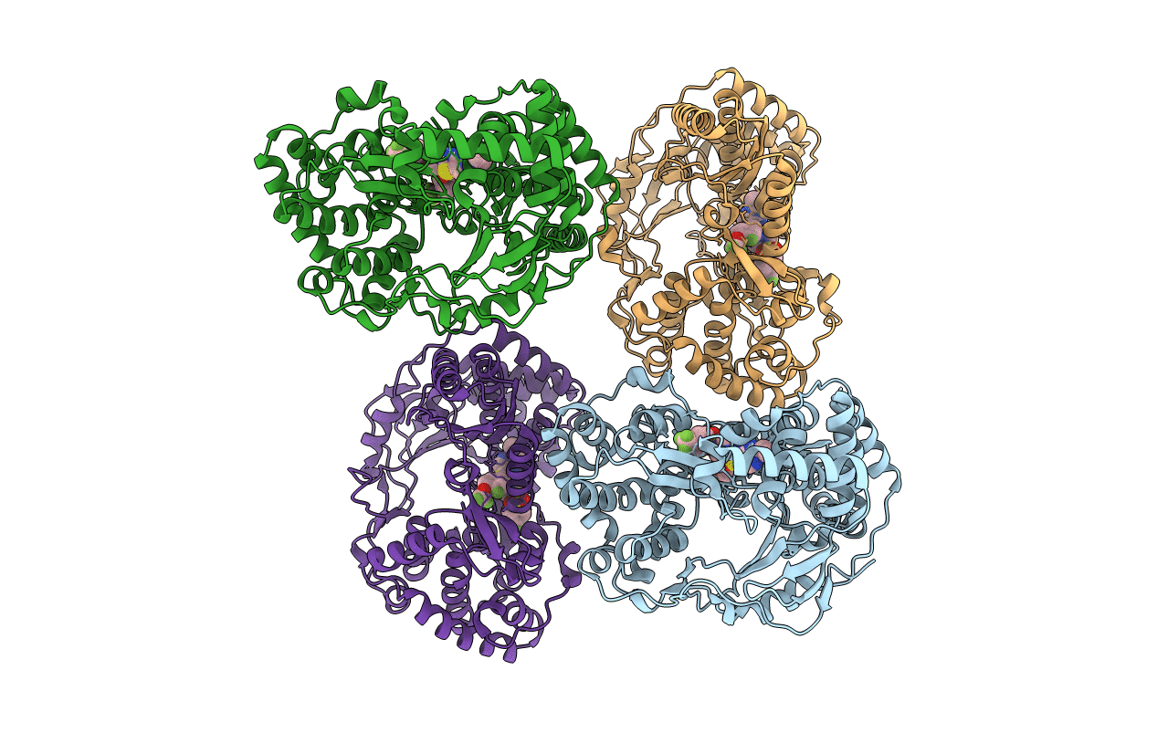3VQS image