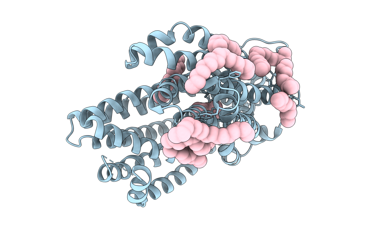 3VVO image