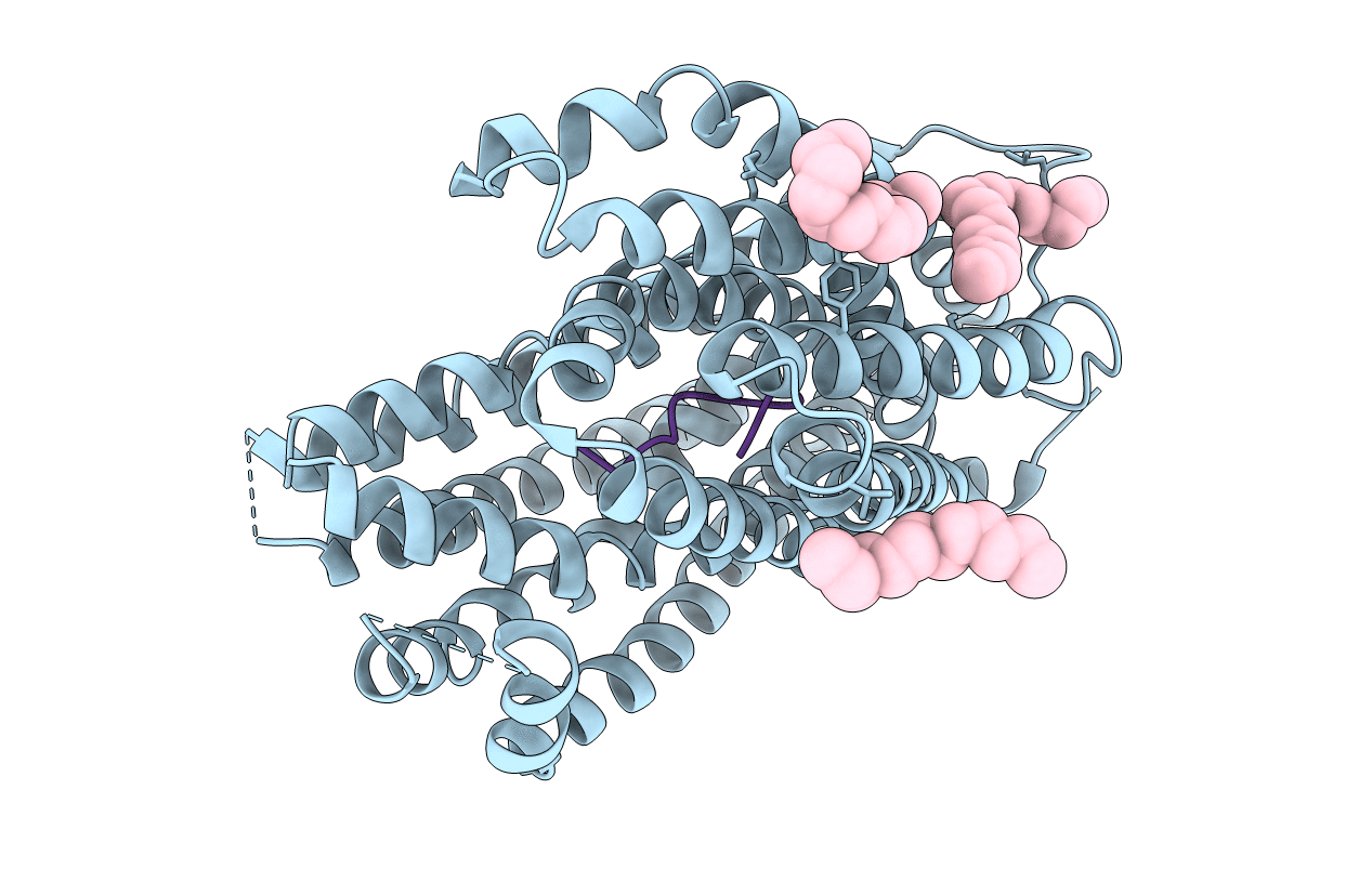 3VVR image