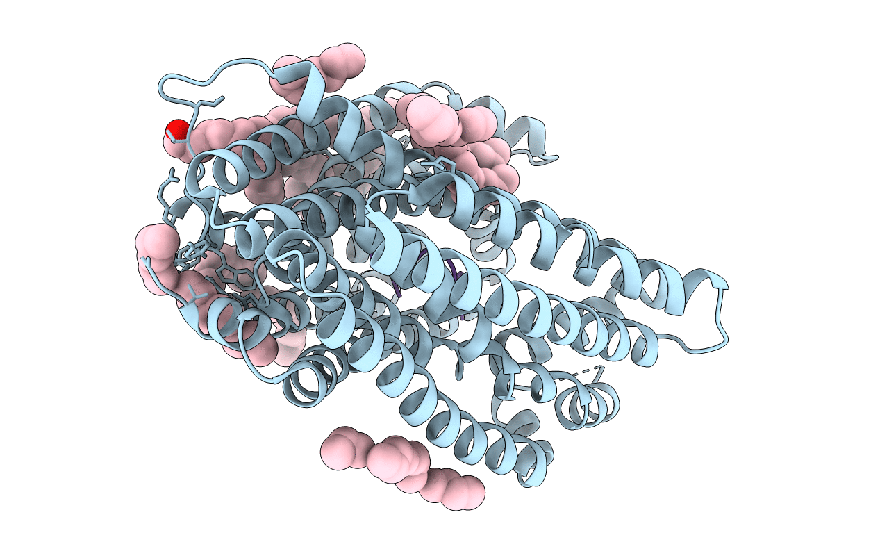 3VVS image